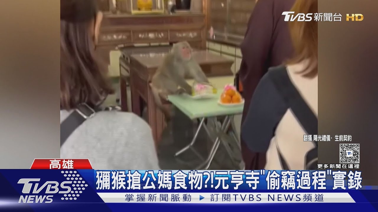 獼猴搶公媽食物?! 元亨寺製「壓克力板」避免祖先沒得吃