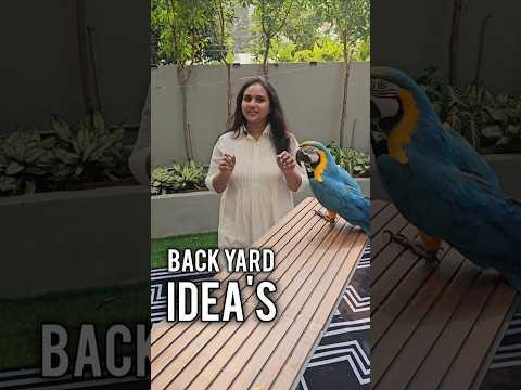 Backyard Ideas & My Macaw