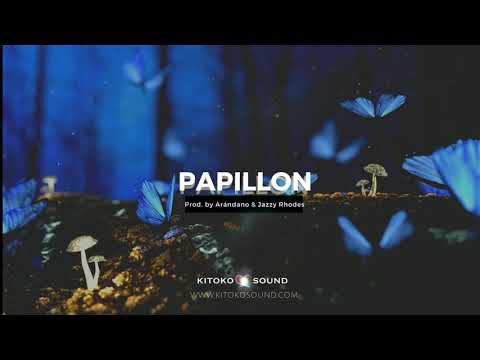 FREE Kizomba Instrumental 2020 "Papillon" | Kompa Instrumental x Zouk Type Beat