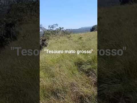 " Tesouro mato grosso"
