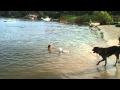 Rover Kisses Little Girl While Swimming