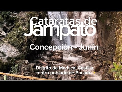 Un abrazo de la naturaleza (Concepción - Junín) 