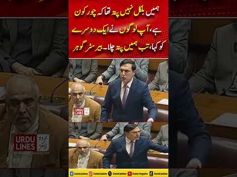 ‘Hamen Bilkul Nahi Maloom Tha Ke Chor Kon Hai’ : Barrister Gohar