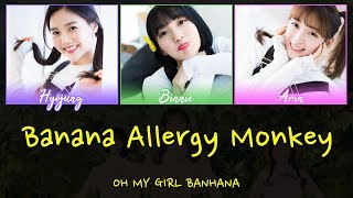 OH MY GIRL BANHANA (오마이걸 반하나) - 바나나 알러지 원숭이 (Banana Allergy Monkey) [LYRICS] (Han|Rom|Eng)