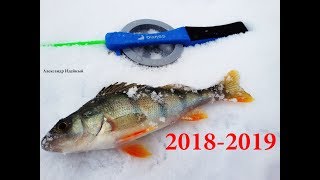 Техника ловли окуня на безмотылку