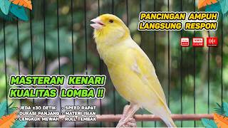 Download lagu Kenari GACOR NGEREK‼️ Masteran Kenari PAUD dan Pancingan Kenari MACET BUNYI dan Betina NGIWIR - 370 mp3 Download lagu Kenari GACOR NGEREK‼️ Masteran Kenari PAUD dan Pancingan Kenari MACET BUNYI dan Betina NGIWIR - 370 mp3