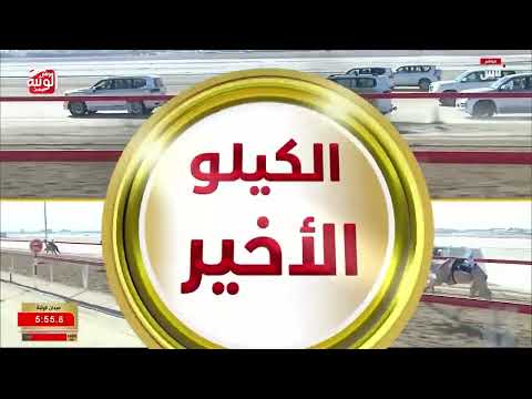  ش 16 (شاهين) لـ علي سالم بن علي متعب الصعاق 7:22:42 ، مهرجان ختامي الوثبة 2026/05/11 لقايا 
