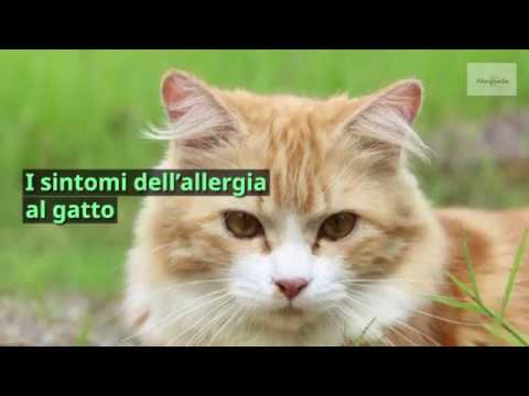 Eczema di fotografia avventato Esoterics su eczema