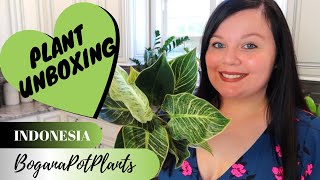 Plant Unboxing | Boganapotplants | Indonesia