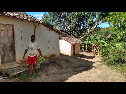 Carregaram minha menina daqui do sítio / Seu Ailton / Quipapá / PE