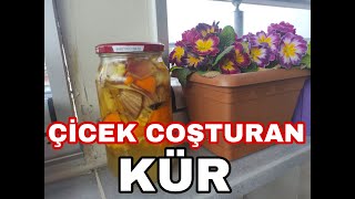 Çiçekler Nasıl Daha Hızlı Büyür?-Çiçek Coşturan Kür