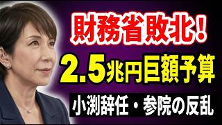 【財務省の敗北】高市総理の「骨太の方針」と2 5兆円の巨額予備費！小渕優子辞任と参院の反乱…裏で動く黒幕の正体　2026 06 27