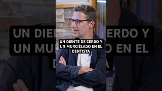 🐷🦇 ¿Un diente de cerdo… y un murciélago en el DENTISTA? Espera a escuchar esto