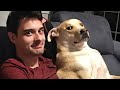 When your brother's name is dog 🤣 Funny Dog and Human