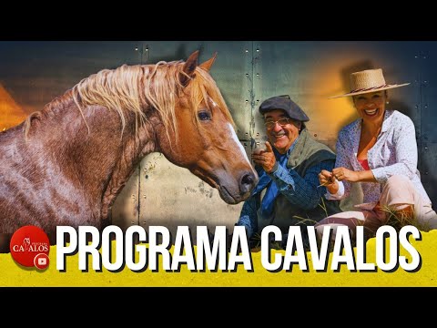 Cabanha Tupambaé commemorates the 6 FREIOS awards won and showcases the Criollo horses on a field...