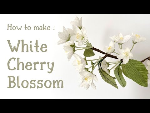 HOW TO MAKE CHERRY BLOSSOM WITH CREPE PAPER | FREE TEMPLATE | full Craft step by step tutorial