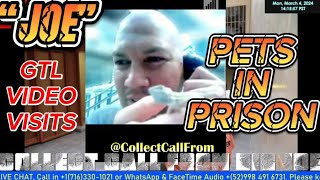 GTL VIDEO VISIT - PRISON PETS - SB260