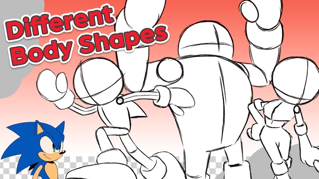 Sonic Character Anatomy - Drawing Different Body Shapes, Sizes, and Proportions