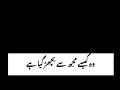 Main Ro Padunga Noman Rasheed Poetry Black Screen Status Poetry Blackscreenstatus