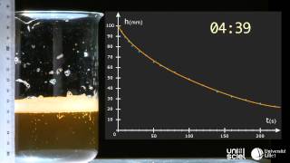 La bière et sa mousse