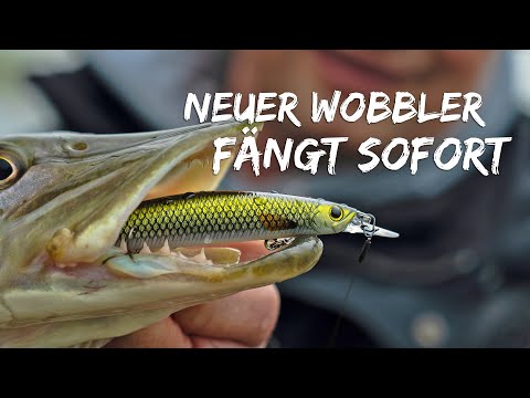 Twitchen im Baggersee: So fängst Du Hechte mit Wobbler