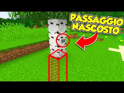 Minecraft ITA - IL MIGLIOR PASSAGGIO SEGRETO!!