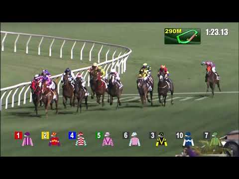 28/4/2021 (626) Swot Troopers Wind - Derek Leung