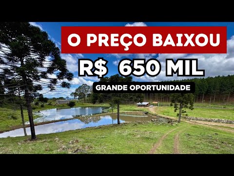 CHÁCARA A VENDA EM SANTA CATARINA 2 CASAS NATUREZA ÁGUA ANIMAIS R$650MIL