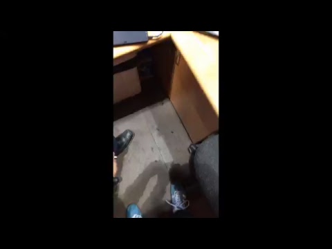 BHL: Dobeles Tenax - SKA Minsk