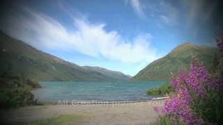 Angelo Branduardi - Il Cantico Delle Creature