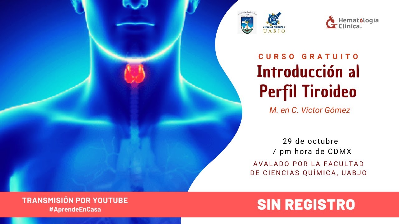 Introducción al Perfil tiroideo