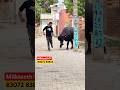 Bandook Chalgi Bandook 2 Sapna Chaudhary Narender Bhagana HaryanviVideo Song Sonotek