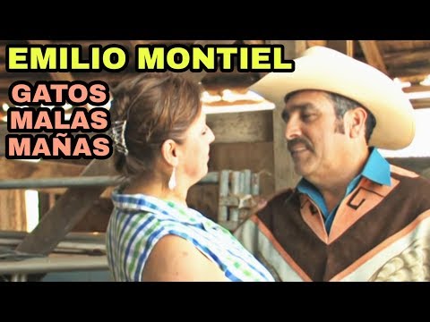 Emilio Montiel - Gatos Malas Mañas autor: Moises Aguirre © 2010 MONTIEL TV
