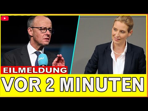 Bundesverfassungsgericht löst Neuwahlen aus – warum Merz jetzt die Kontrolle verliert