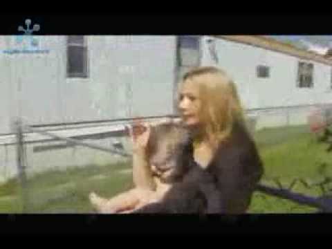 road 2 sturgis Google Videos