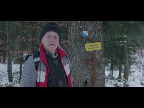 Odcinek 7 Tadeusz Wszołek - Fundacja Wyjdź z Domu