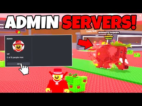 How to JOIN ADMIN SERVERS in Steal a Brainrot!