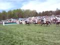 Steeplechase Horse Race