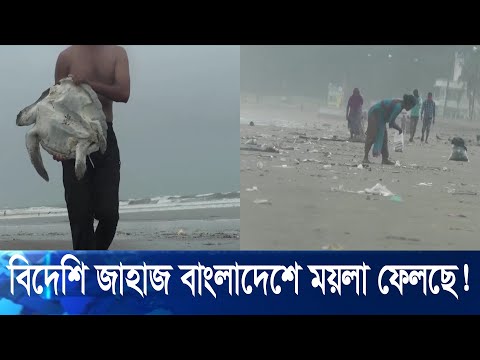 সৈকতে ভেসে আসছে বিপুল পরিমাণ বর্জ্য, মরছে কাছিমসহ নানা জলজ প্রাণী | ETV News