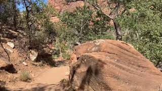 「アメリカ国立公園」ザイオン国立公園ハイキングガイド　2021年8月