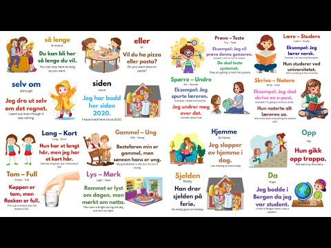 Master Norwegian Fast | 1-Hour B1 Level Tutorial