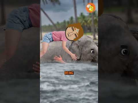 Unbelievable Animal Rescues