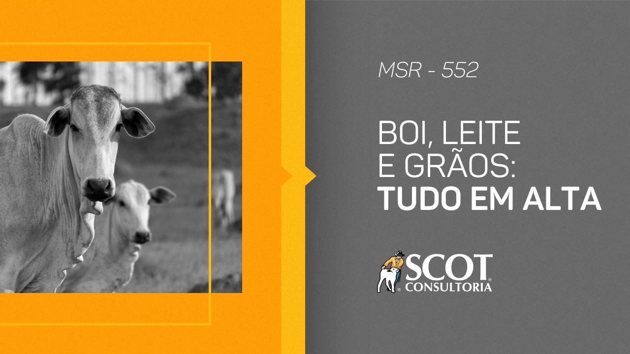 Mercado Sem Rodeios - Episódio 552 - Boi, leite e grãos: tudo em alta