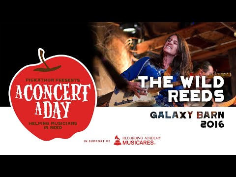 The Wild Reeds | Watch A Concert A Day #WithMe #StayHome #Discover #Live #Music