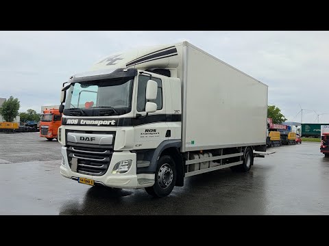 DAF CF 260 video nahled