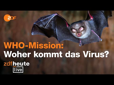 On the trail of the coronavirus | ZDFheute live