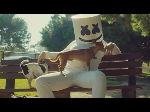 Marshmello - Ritual (feat. Wrabel) [Official Music Video]