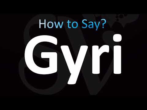 How to Pronounce Gyri (CORRECTLY!)
