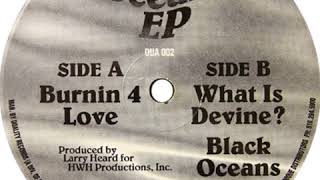 Larry Heard - Black Oceans