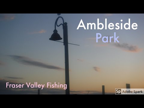 Fishing At Ambleside Park